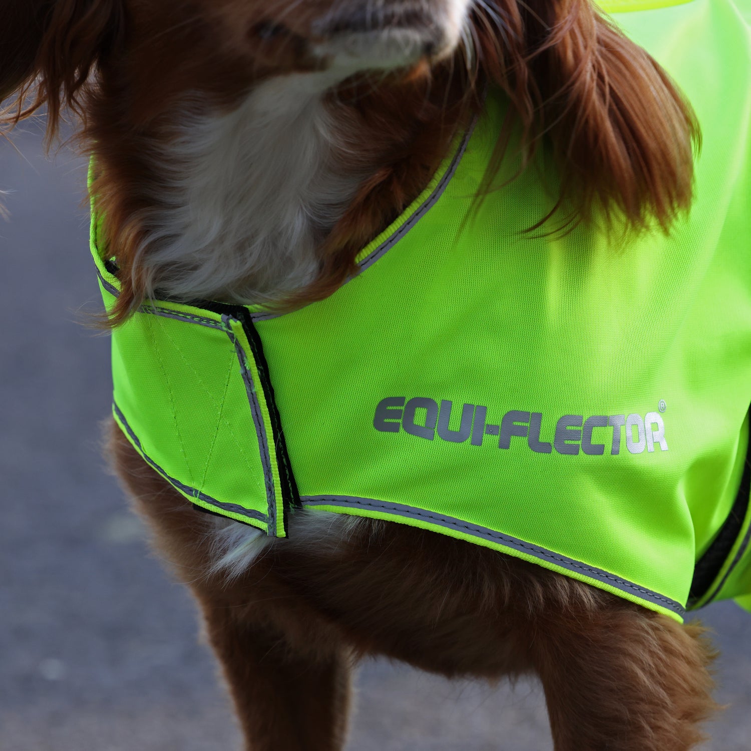 Shires EQUI-FLECTOR® Mesh Dog Coat #colour_yellow