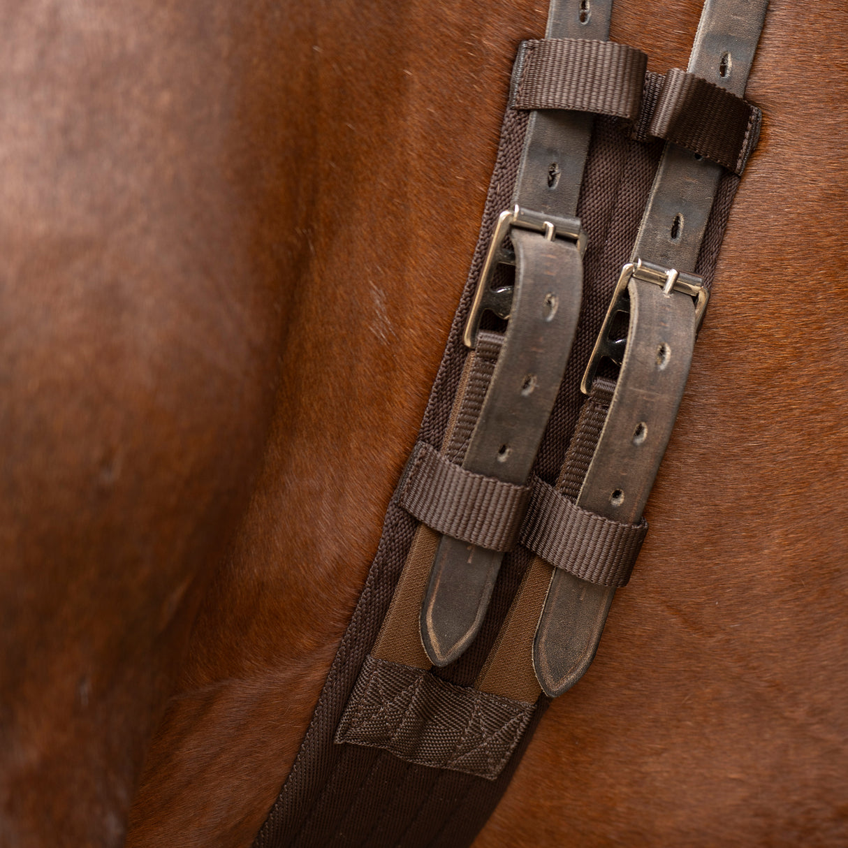 Imperial Riding Core Dressage Girth #colour_brown