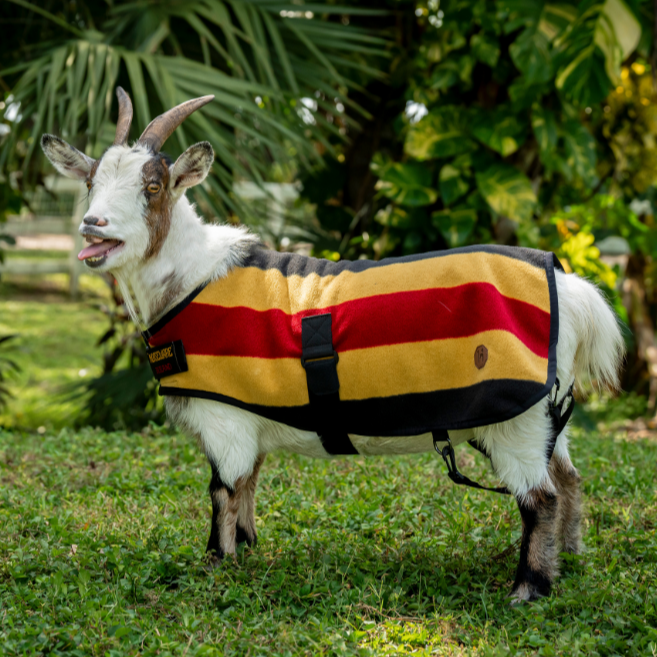 Horseware Ireland Newmarket Goat Fleece #colour_whitney-gold