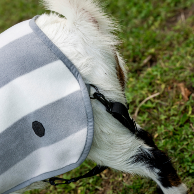 Horseware Ireland Newmarket Goat Fleece #colour_whitney-charcoal