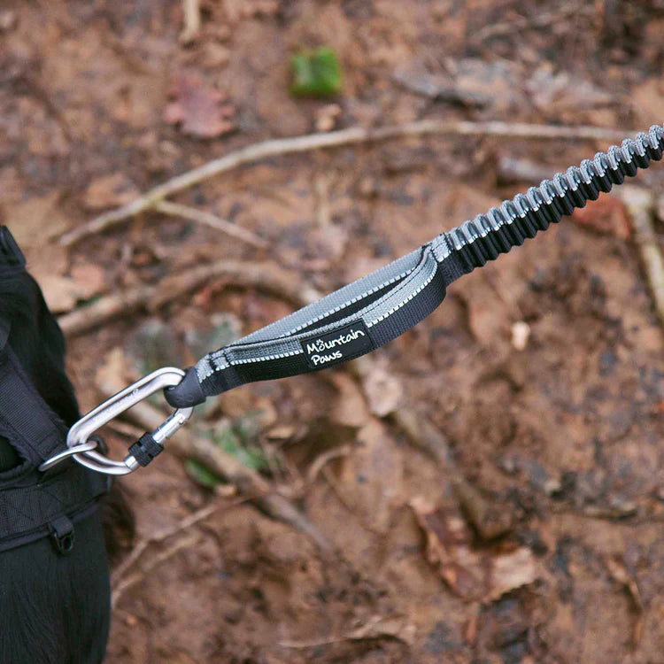 Mountain Paws Shock Absorber Dog Lead #colour_black