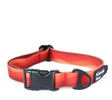 Mountain Paws Waterproof Dog Collar #colour_orange