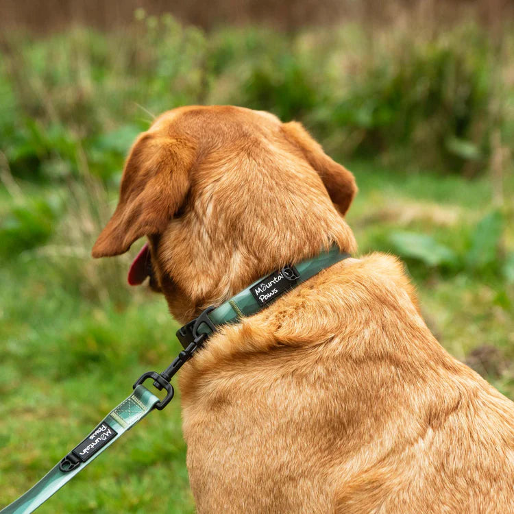 Mountain Paws Waterproof Dog Collar #colour_green