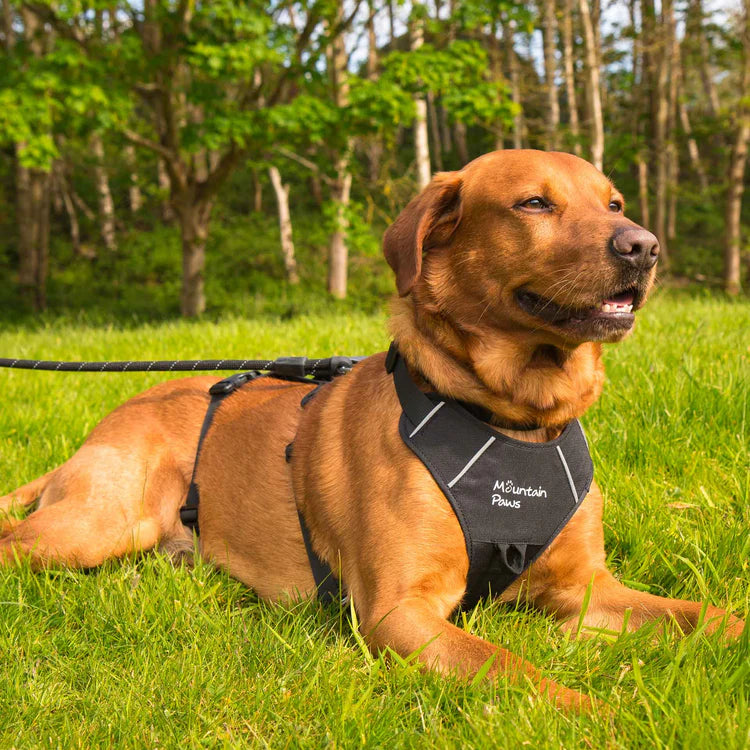 Mountain Paws 3-Strap Dog Harness #colour_black