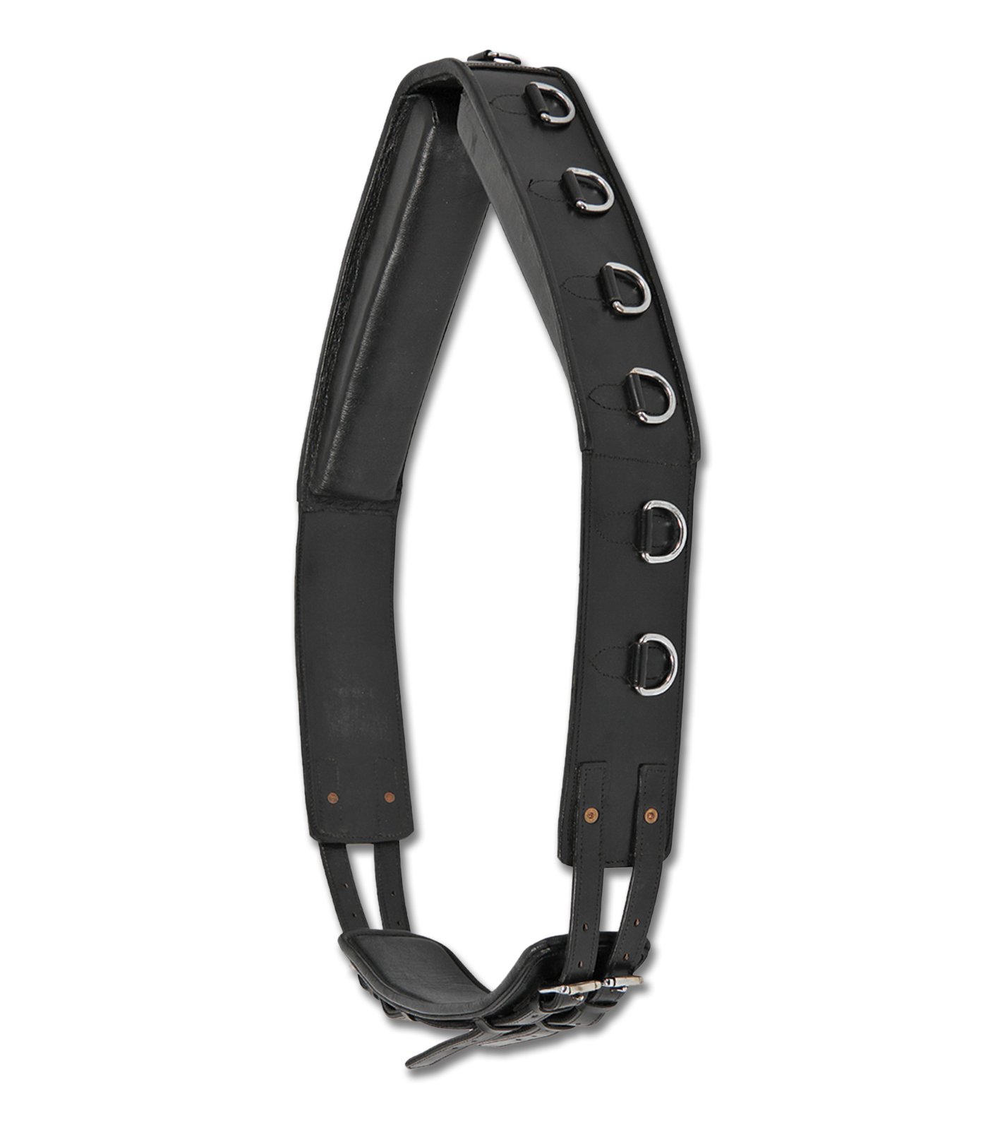 Waldhausen Leather Lunging Surcingle
