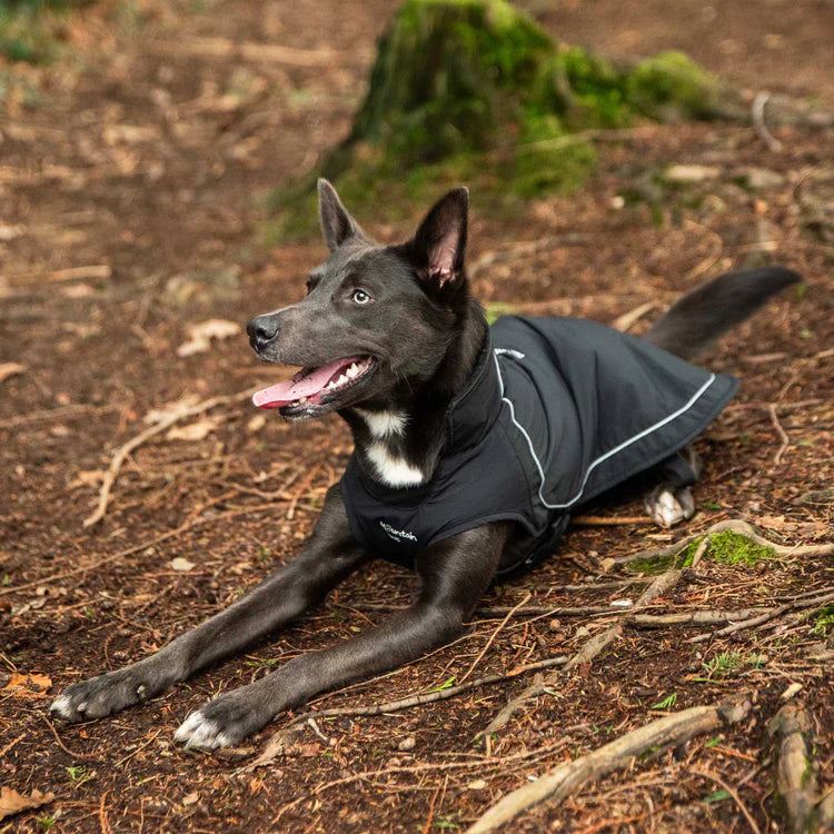 Mountain Paws Fleece Lined Dog Raincoat #colour_black
