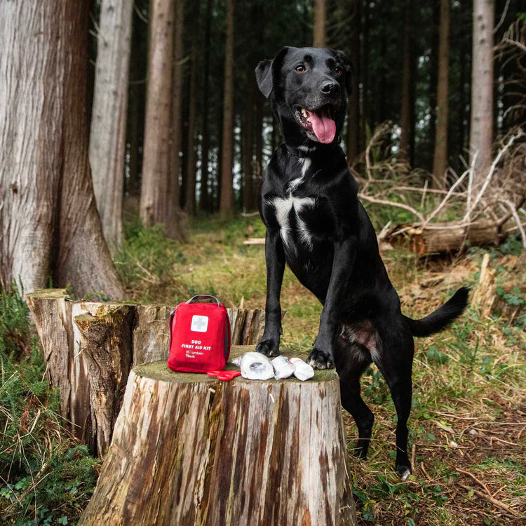 Mountain Paws Dog First Aid Kit