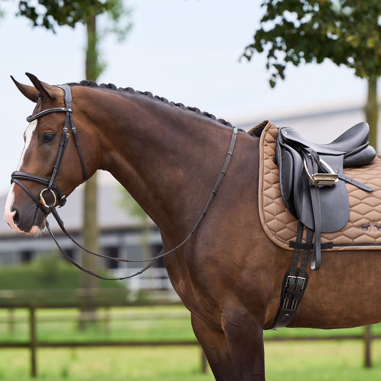 HV Polo Joan Dressage Saddle Pad #colour_straw