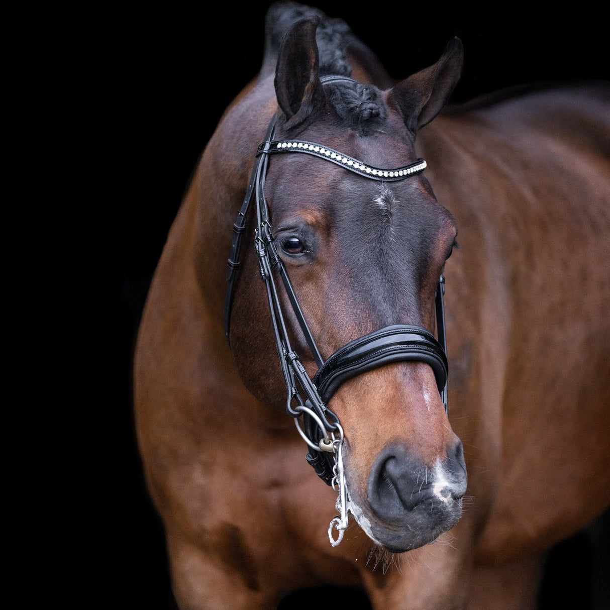 Imperial Riding Athena Weymouth Bridle #colour_black