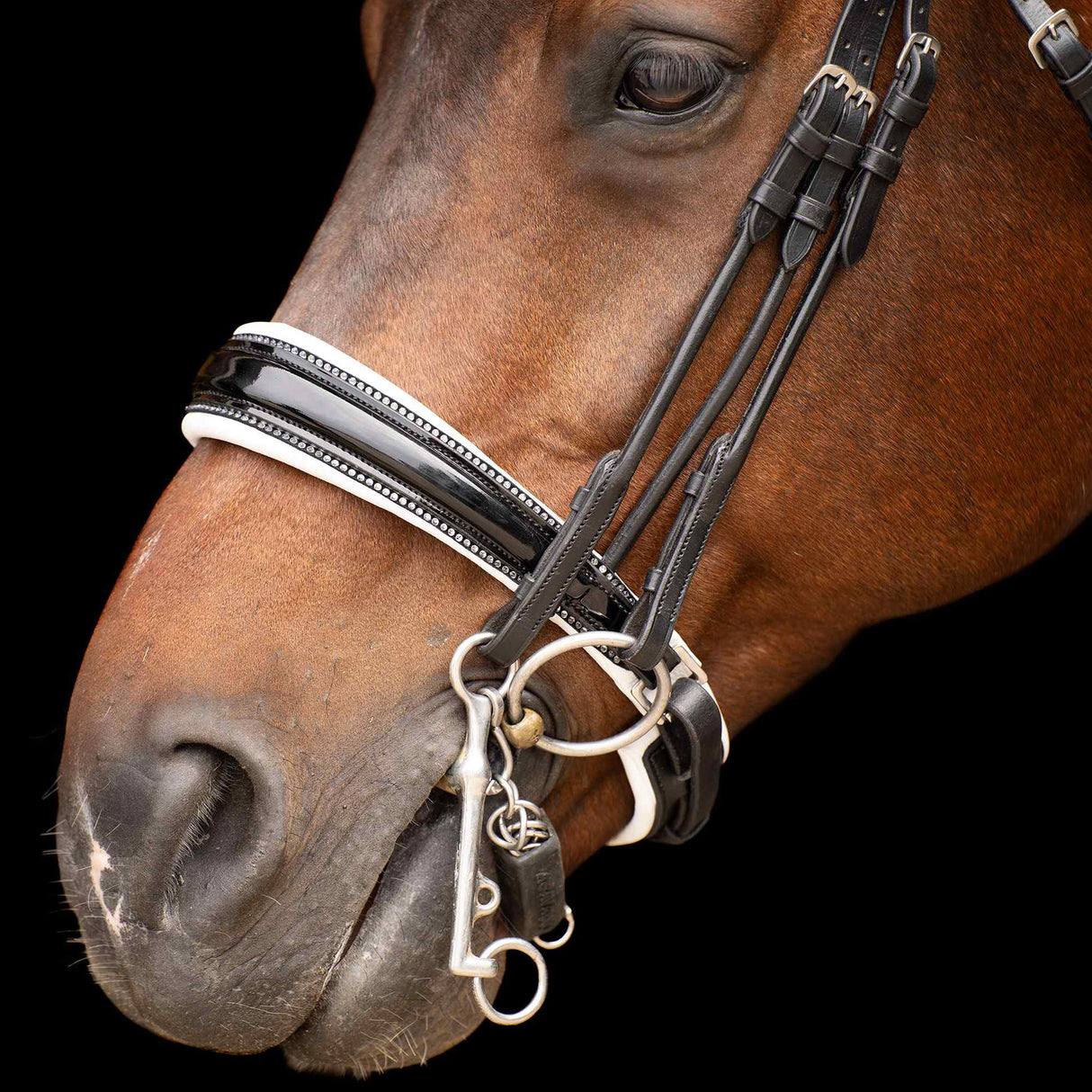 Imperial Riding Olympia Weymouth Bridle #colour_black-white