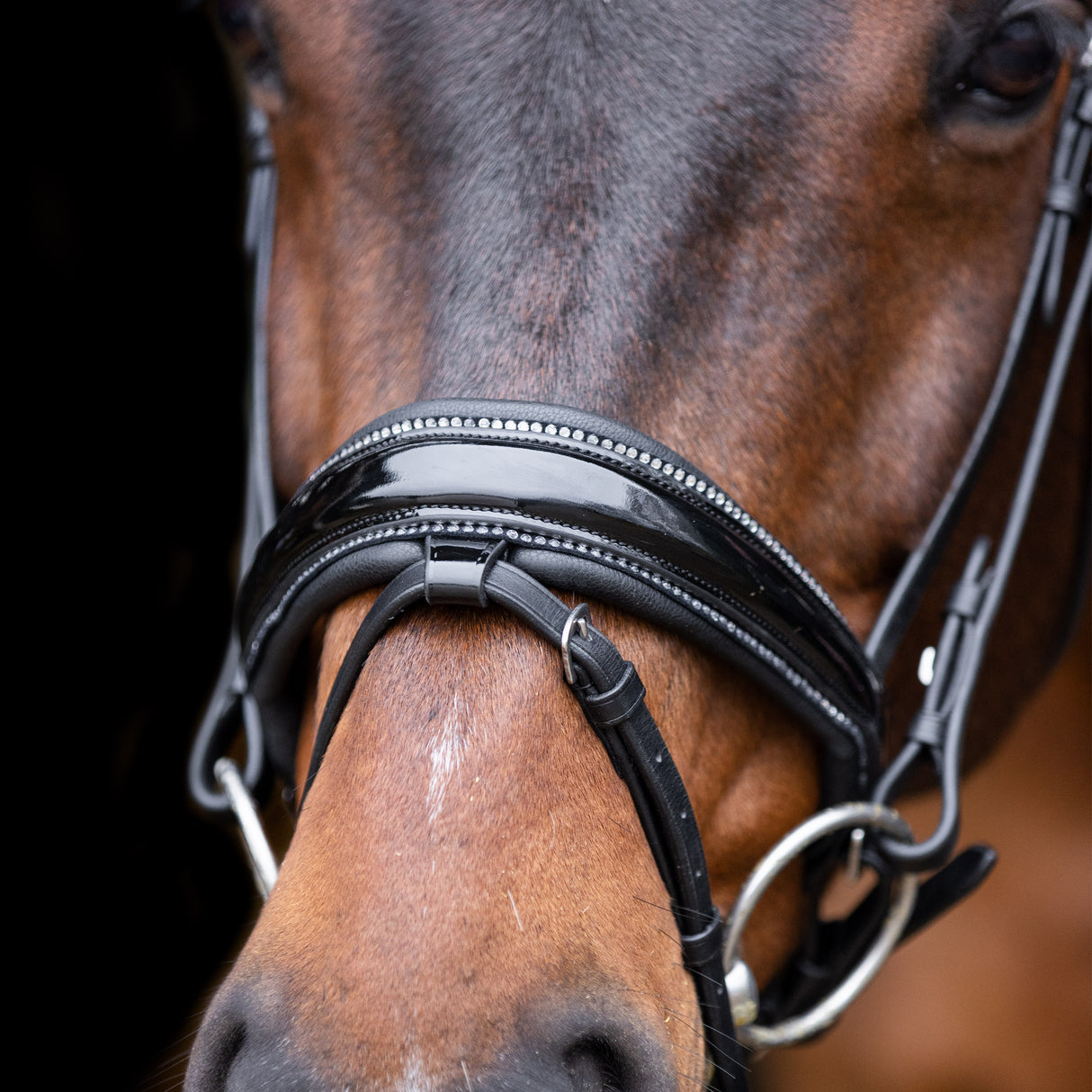 Imperial Riding Olympia Bridle #colour_black-silver