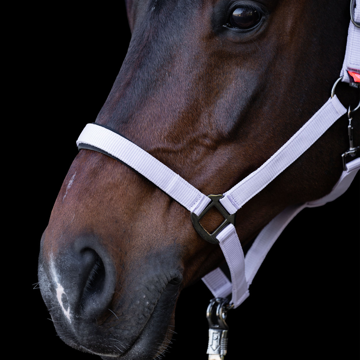 Imperial Riding Classic Sport Headcollar #Collar_ballerina