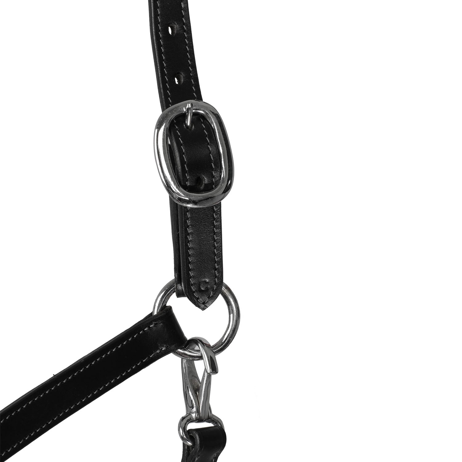 Acavallo Halter Anatomical Leather Rope Noseband #colour_black