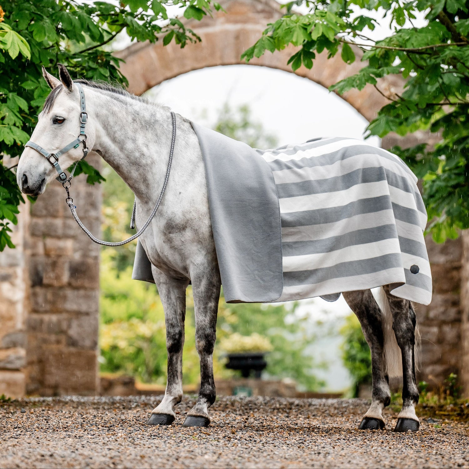 Horseware Ireland Newmarket Fleece Blanket #colour_whitney-charcoal