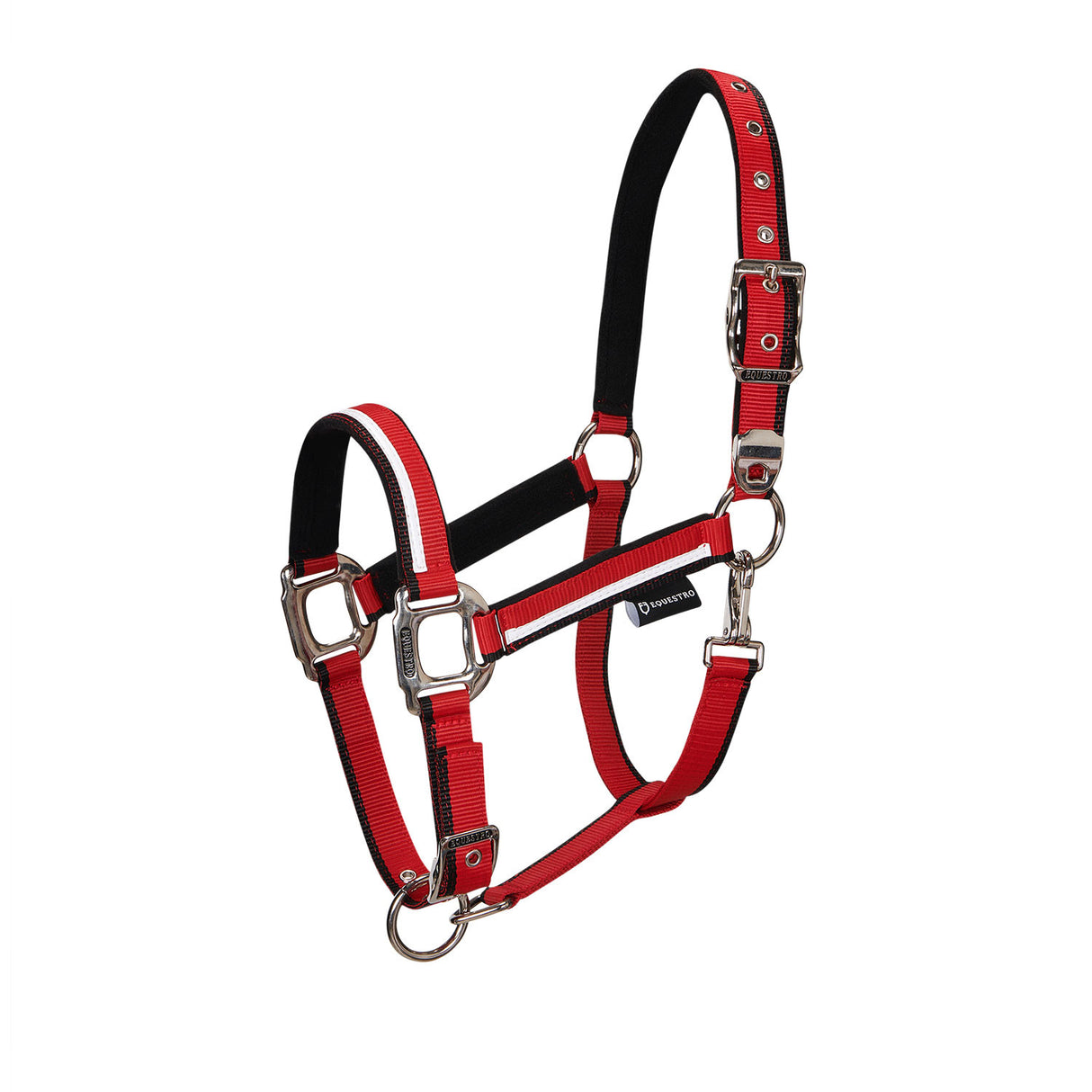 Halter with fleece padding and snap hook