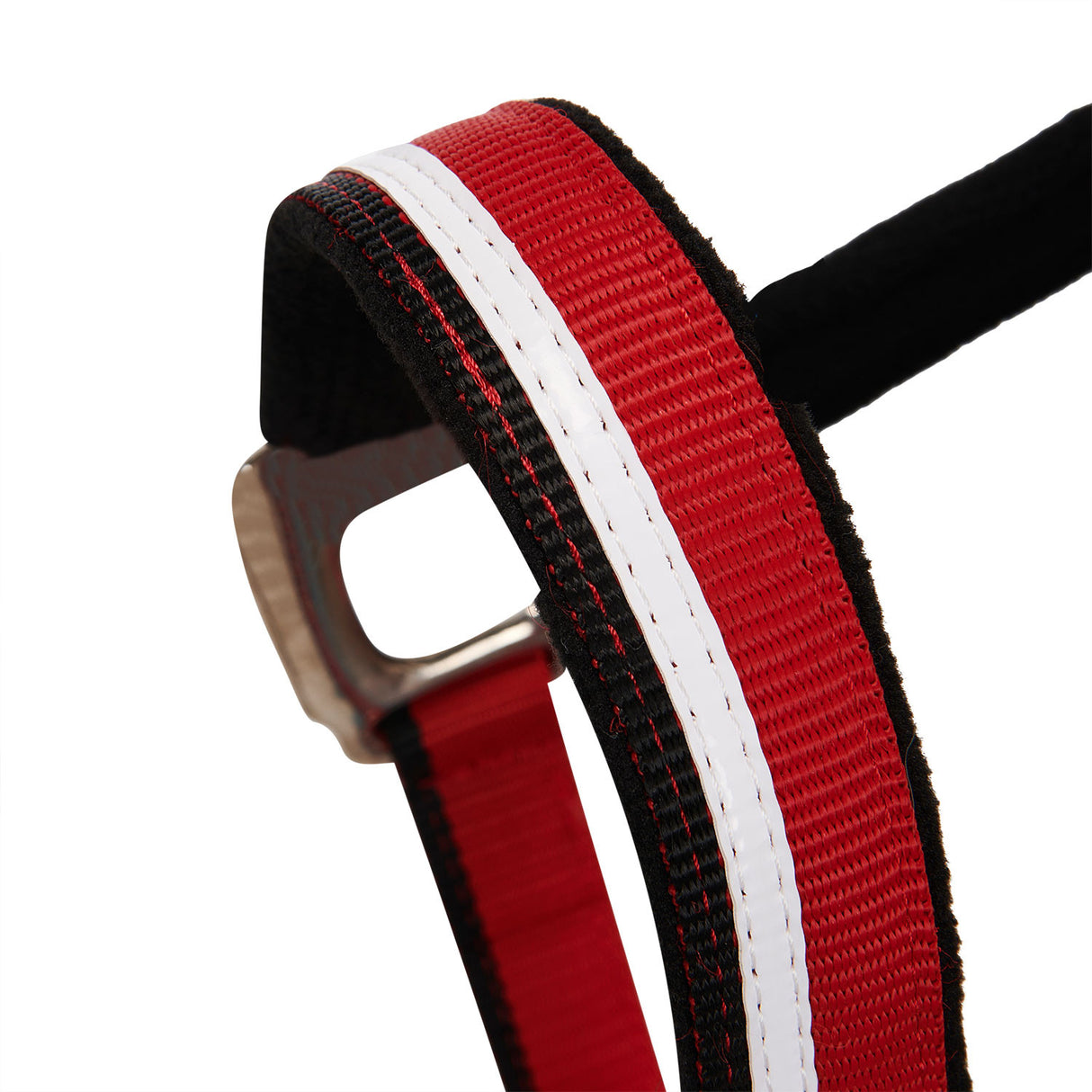 Halter with fleece padding and snap hook