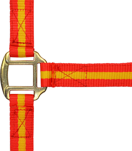 Norton Leather Lined Nylon Headcollar