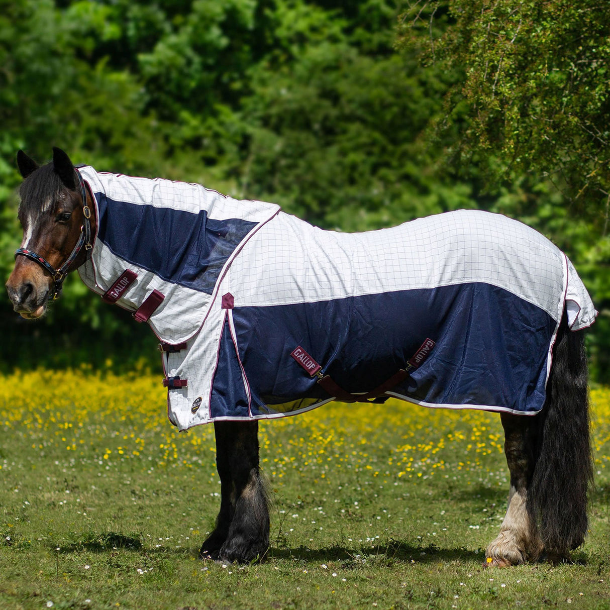 Gallop Air Mesh Detachable Cooler