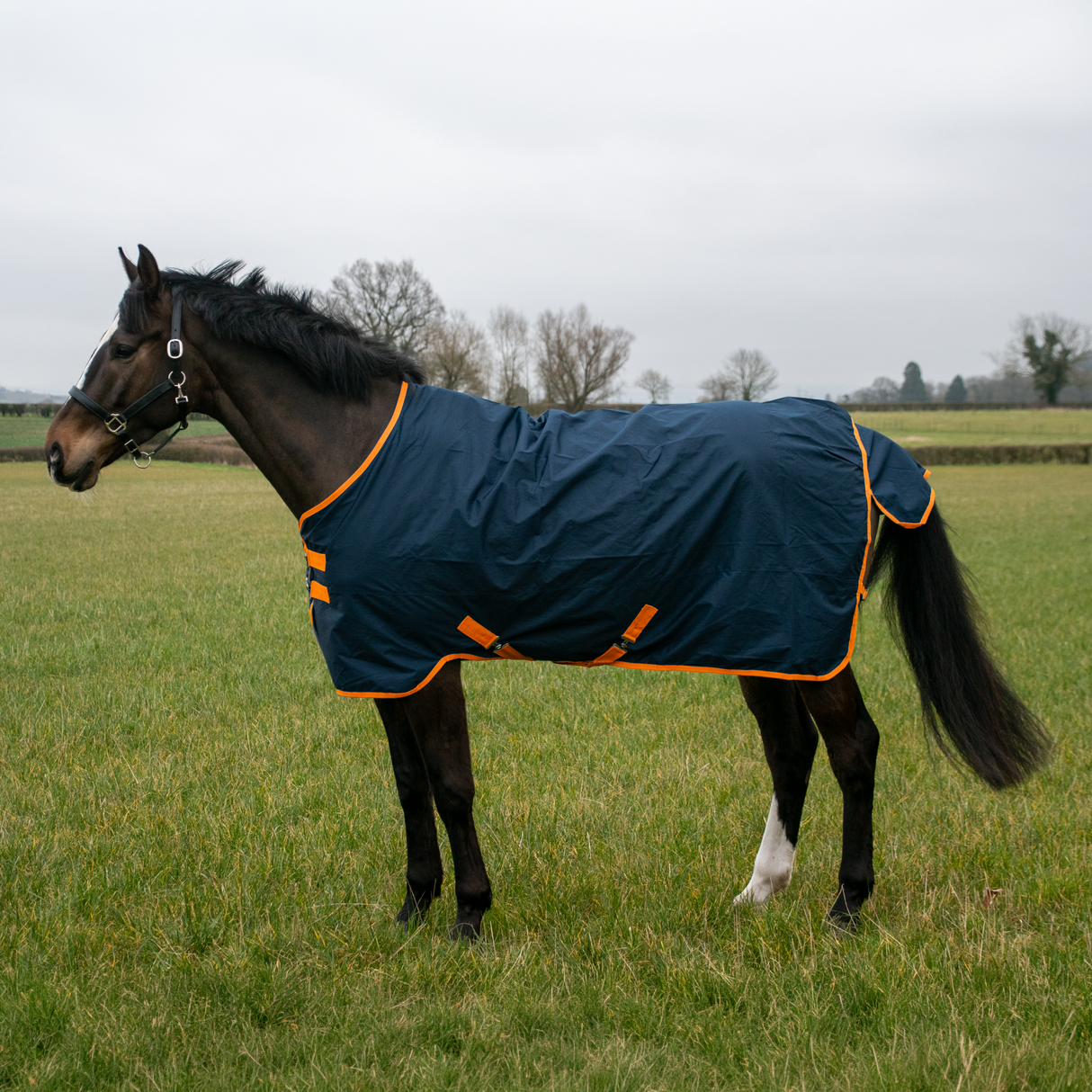 Couverture de participation imperméable GS Equestrian 600D 0g