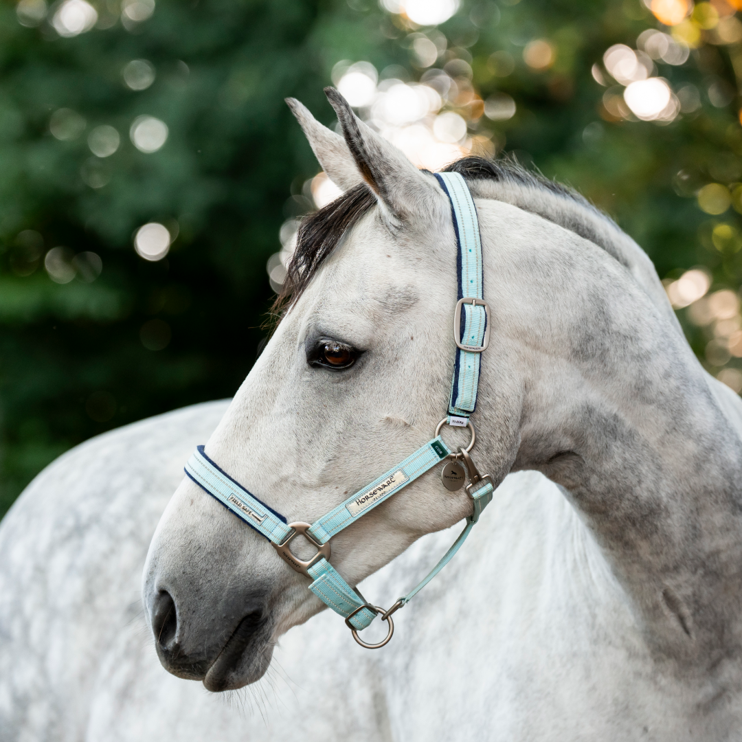 Horseware Ireland Field Safe Headcollar #colour_blue-haze