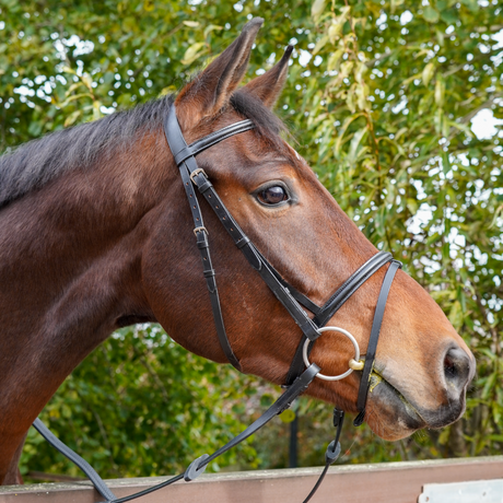 GS Equestrian Wirtschaftliches Flash-Zaumzeug