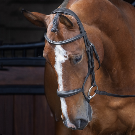 Shires Velociti RAPIDA Rolled Padded Cavesson Bridle #colour_black