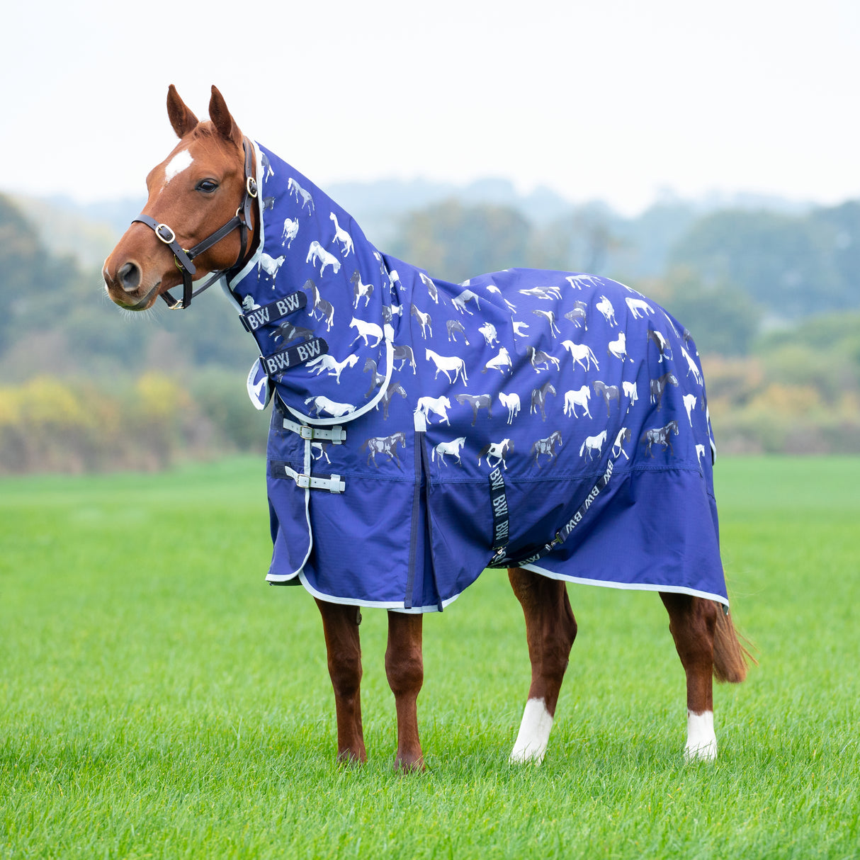 Bridleway Ontario Lite Combo Turnout Rug #colour_navy-horse