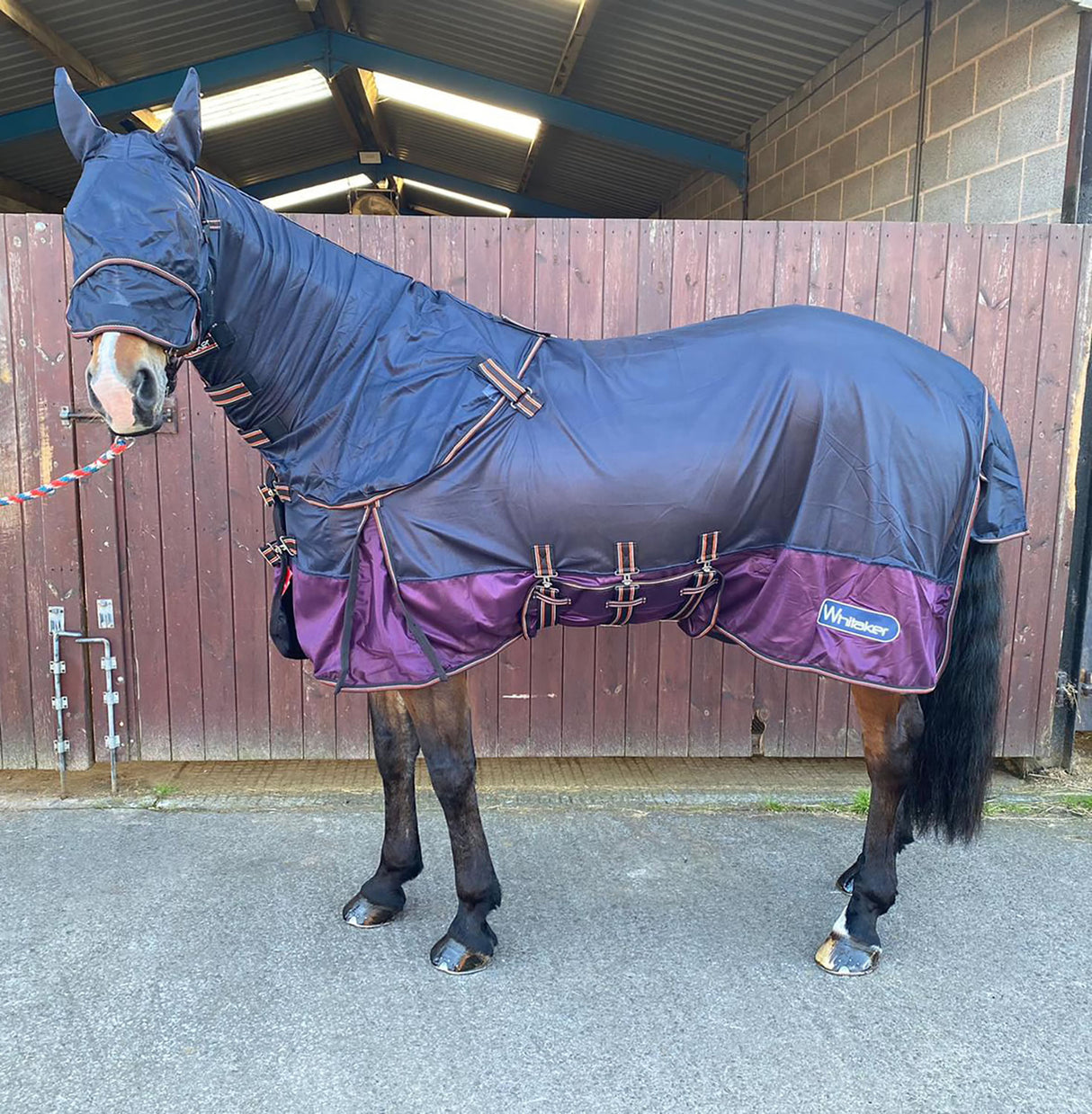 Whitaker Airton Fly Rug #colour_navy-plum