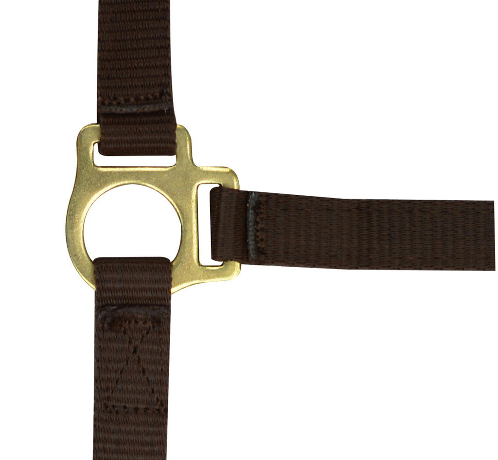 Norton Foal Headcollar Lead Rope