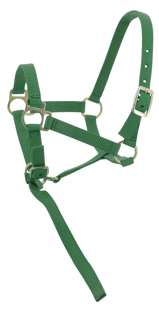 Norton Foal Headcollar Lead Rope