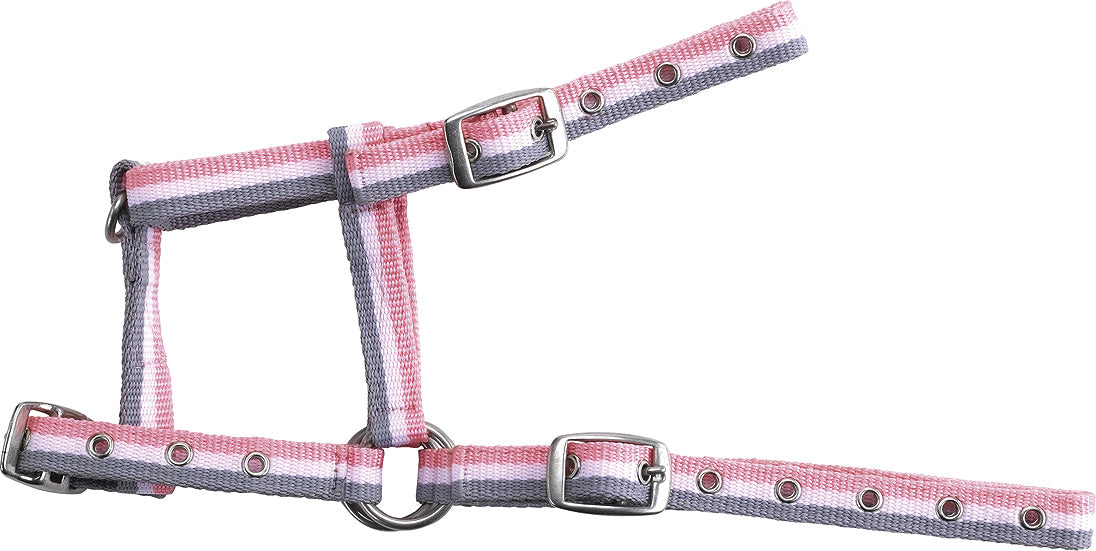 Norton Adjustable Foal Headcollar #colour_grey-white-pink
