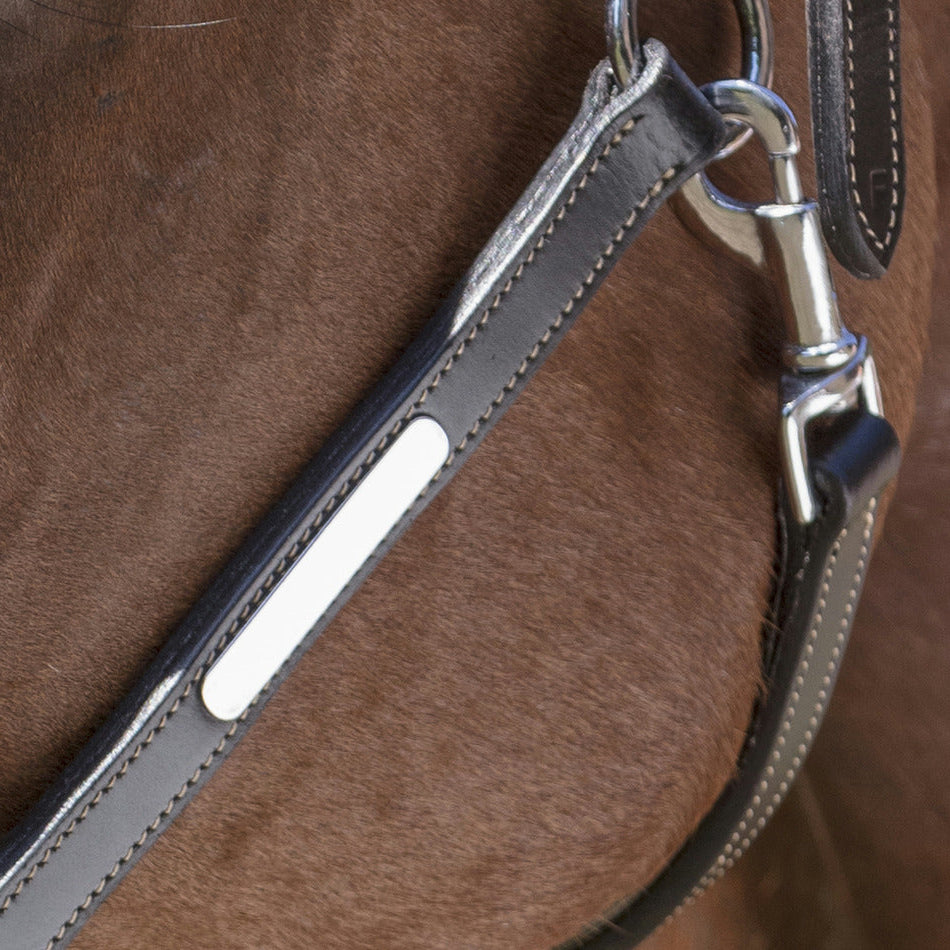 Norton Pro Grooming Leather Headcollar #colour_black