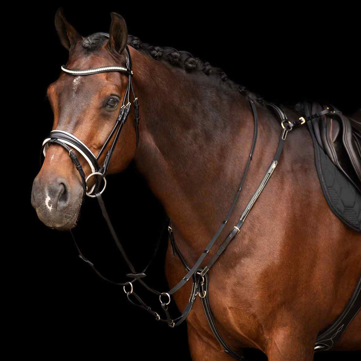 HV Polo Legacy Martingale #colour_black