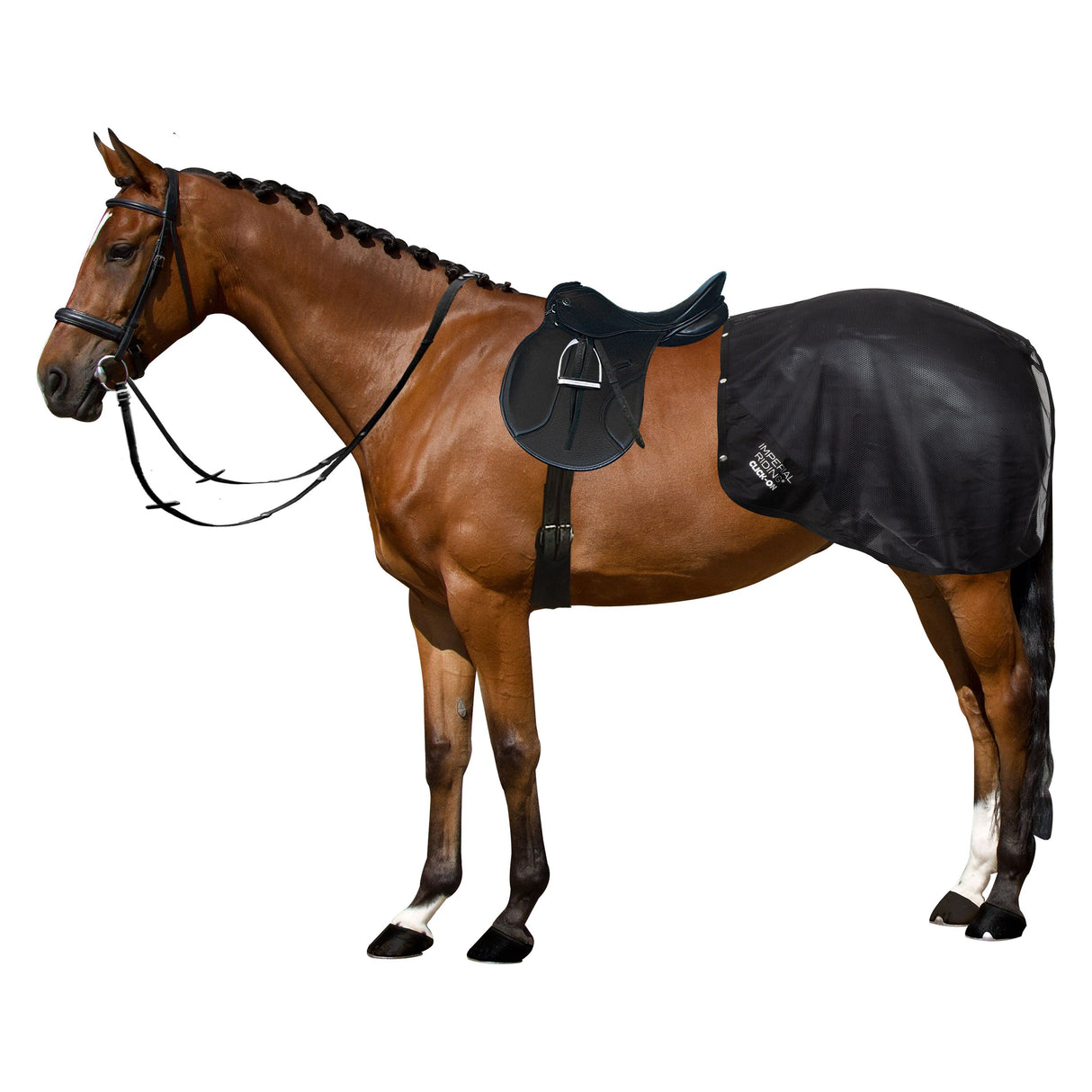 Imperial Riding Multiride Detachable Exercise Blanket #colour_black