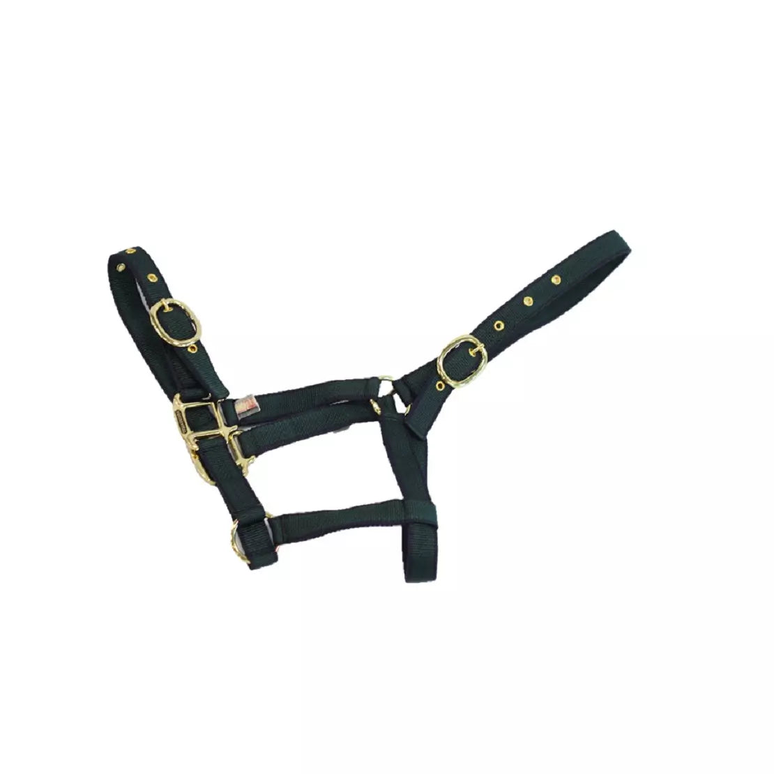 Mackey Equisential Nylon Headcollar #colour_navy-green