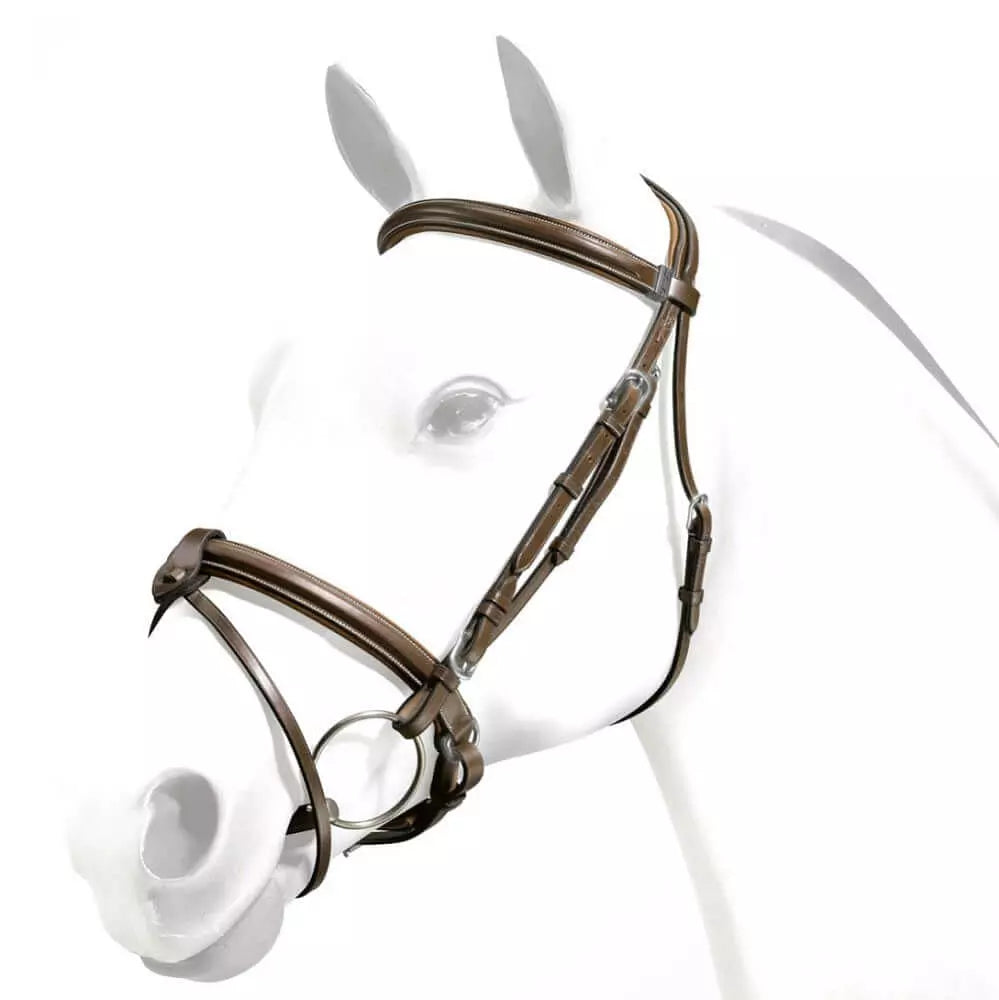 Equipe Rolled Browband Flash Bridle with Silver Fittings #colour_brown