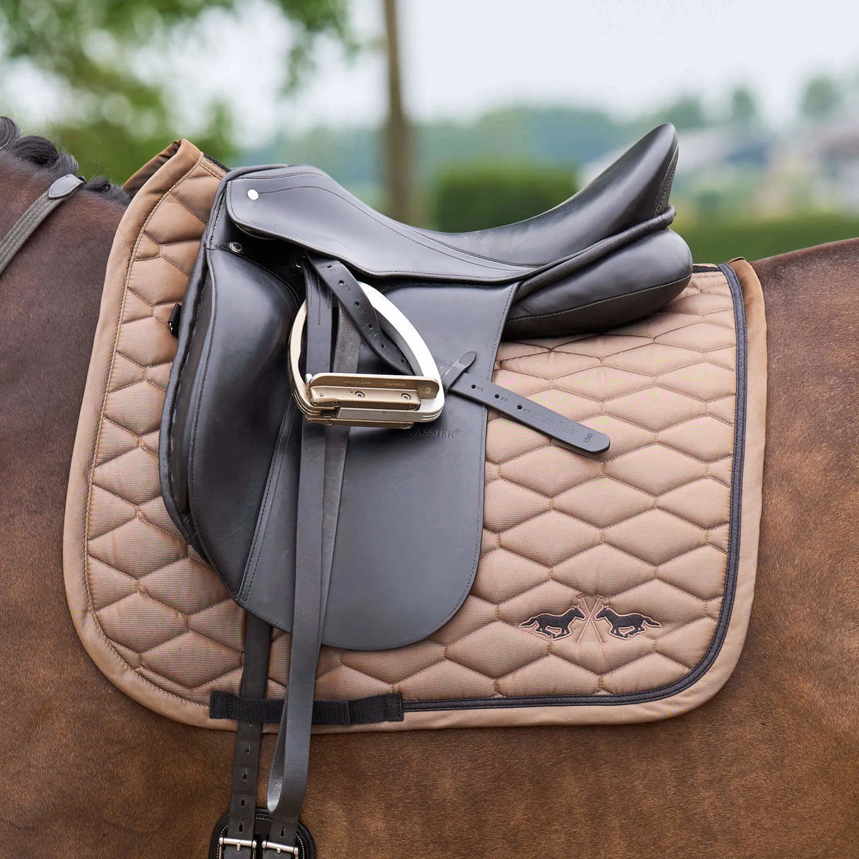 HV Polo Joan Dressage Saddle Pad #colour_straw