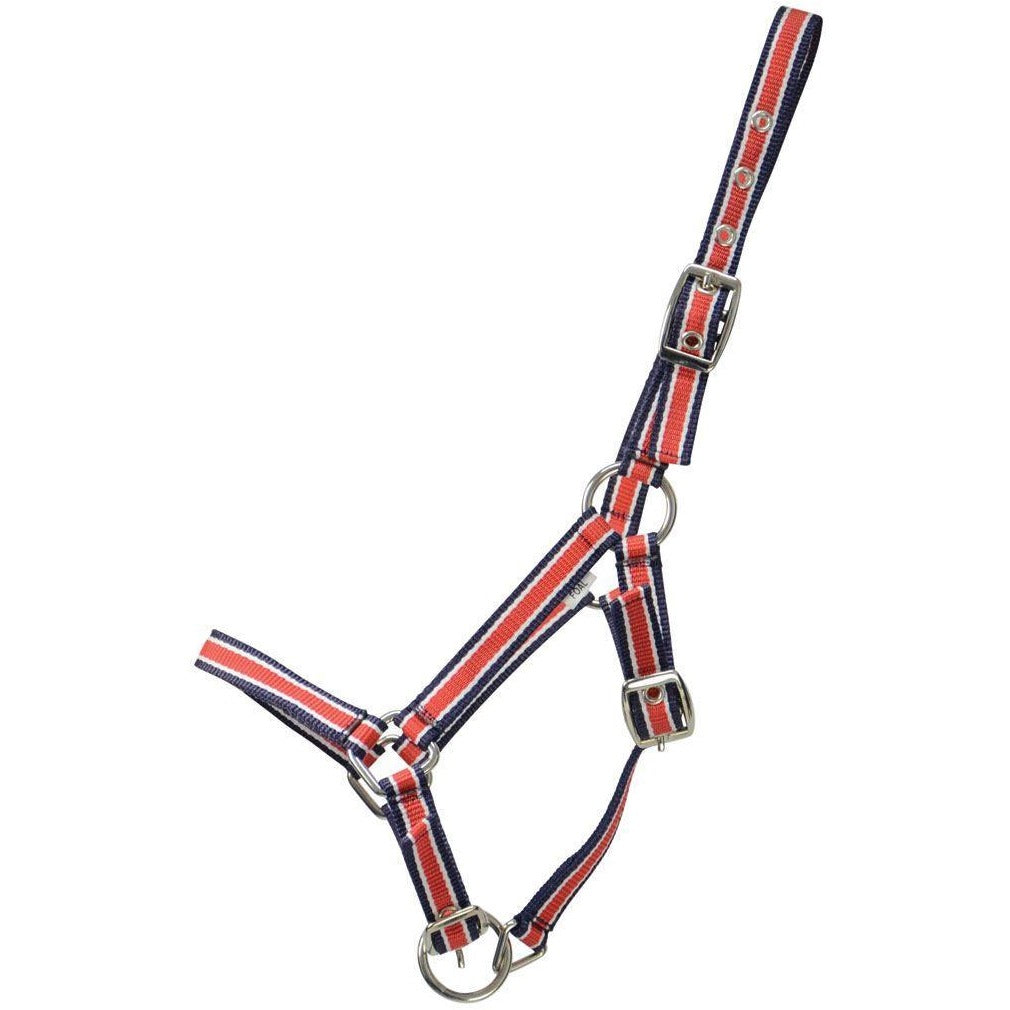 Hy Foal Plus Head Collar