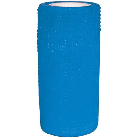 #colour_blue