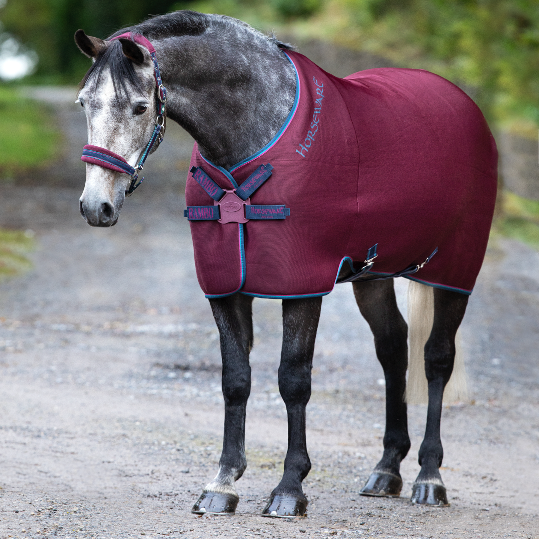 #colour_burgundy-teal-navy