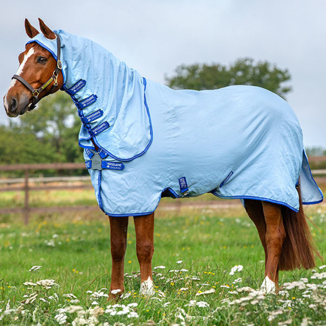 Horseware Ireland Amigo Ripstop Hoody #colour_azure-blue-strong-blue-silver