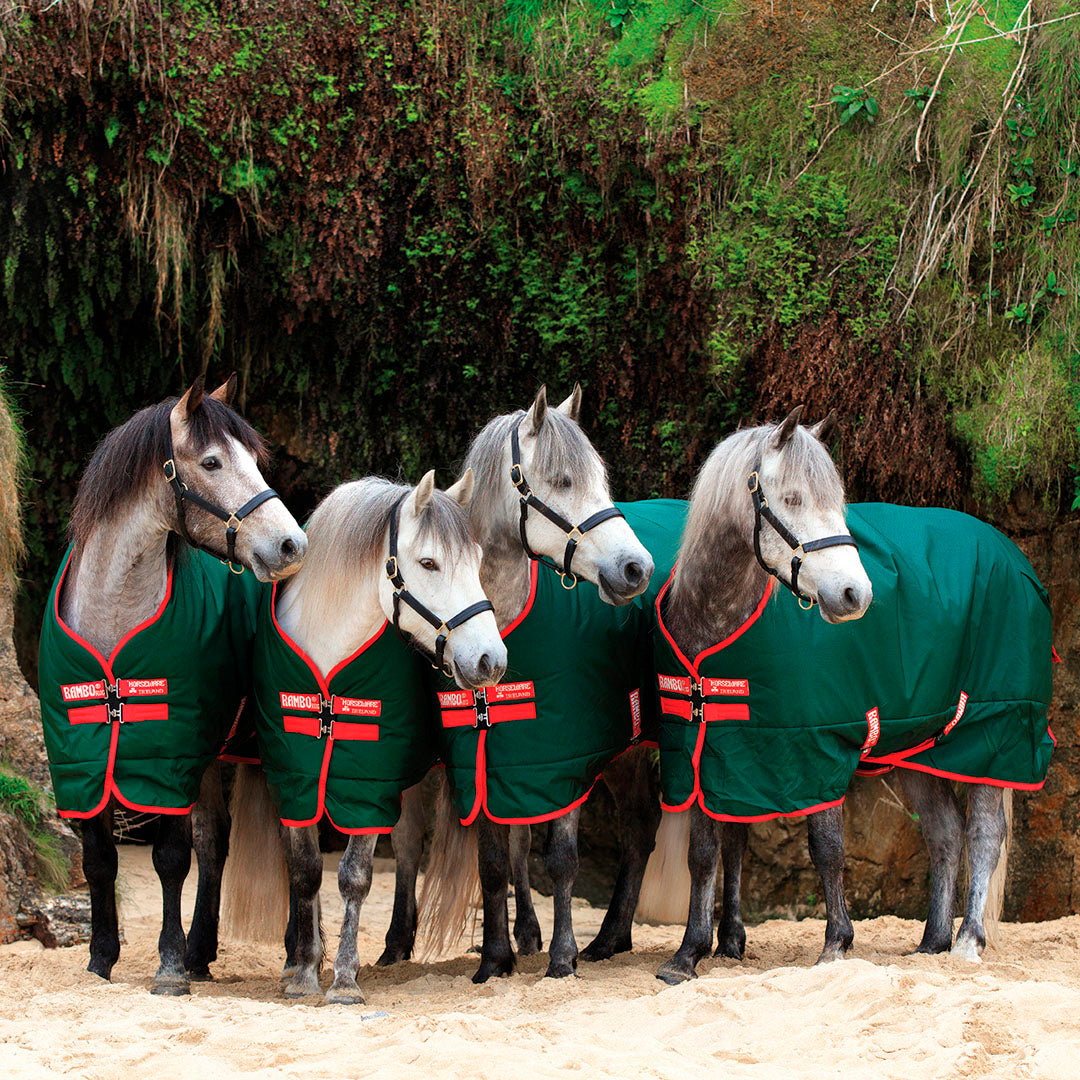 Horseware Ireland Rambo Original 400g Heavy Turnout Rug