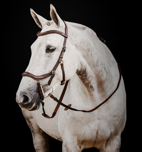 Horseware Ireland Micklem 2 Deluxe Competition Bridle #colour_dark-havana
