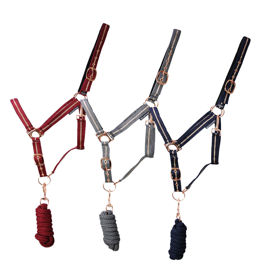 Hy Equestrian Rose Glitzer-Stirnhalsband und Führstrick-Set