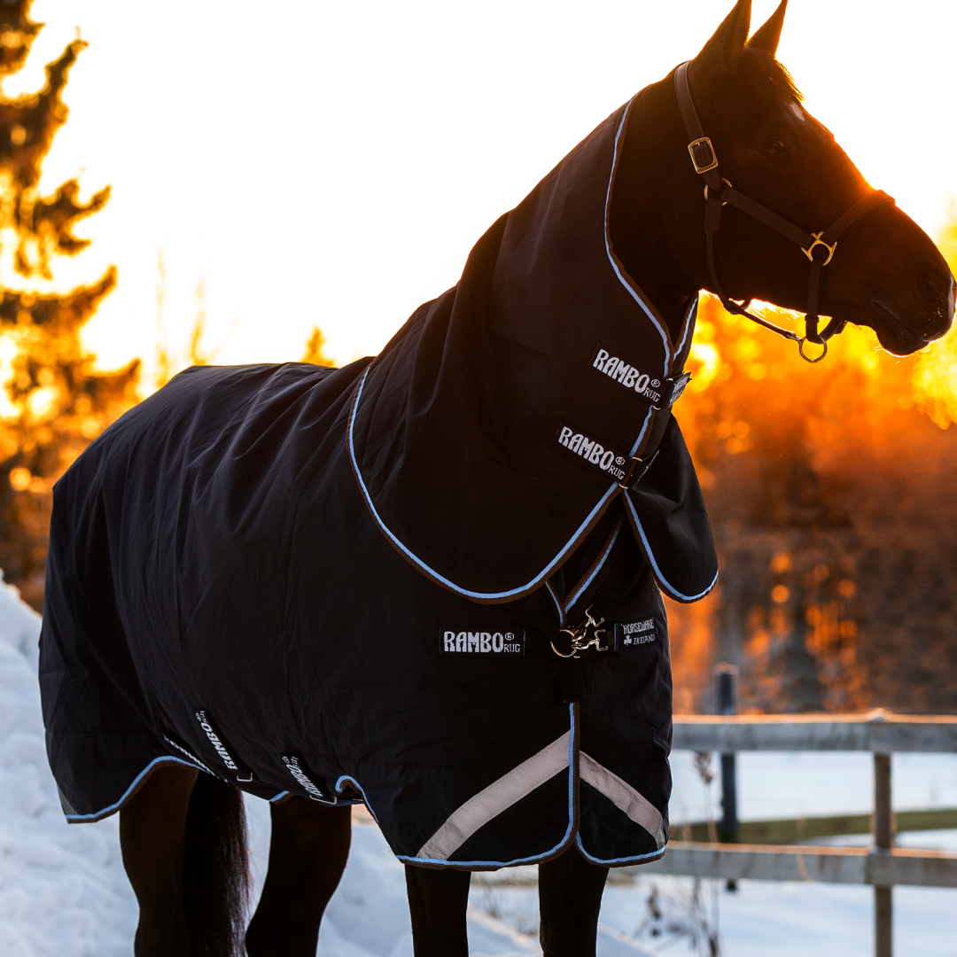 Horseware Ireland Rambo Duo #colour_navy-sky-blue-brown