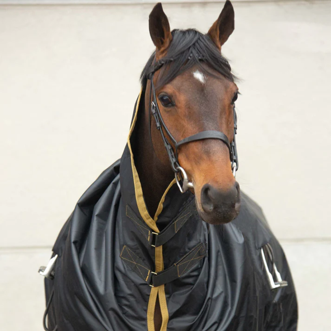 Supreme Products Pro Groom Rain Sheet