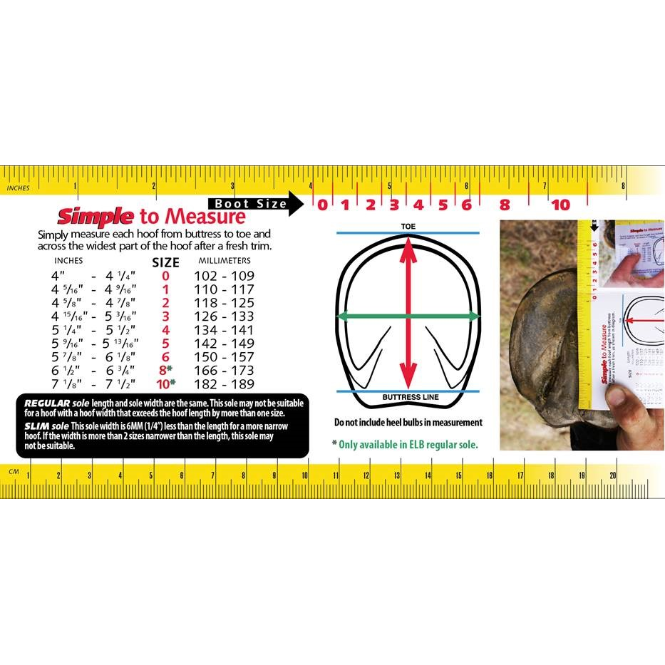 Cavallo Sport Boot Regular Avec Cure-Sabot Et Brosse FOC