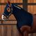 Weatherbeeta Stretch Hood With Zip #colour_black