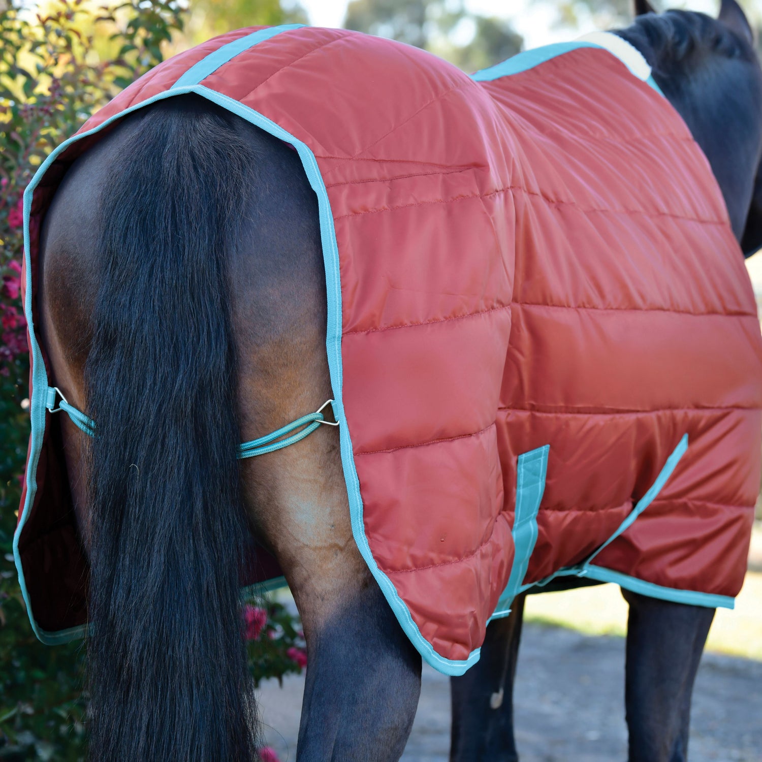 Weatherbeeta Comfitec 210D Channel Quilt Standard Neck Medium Lite #colour_red-blue-beige