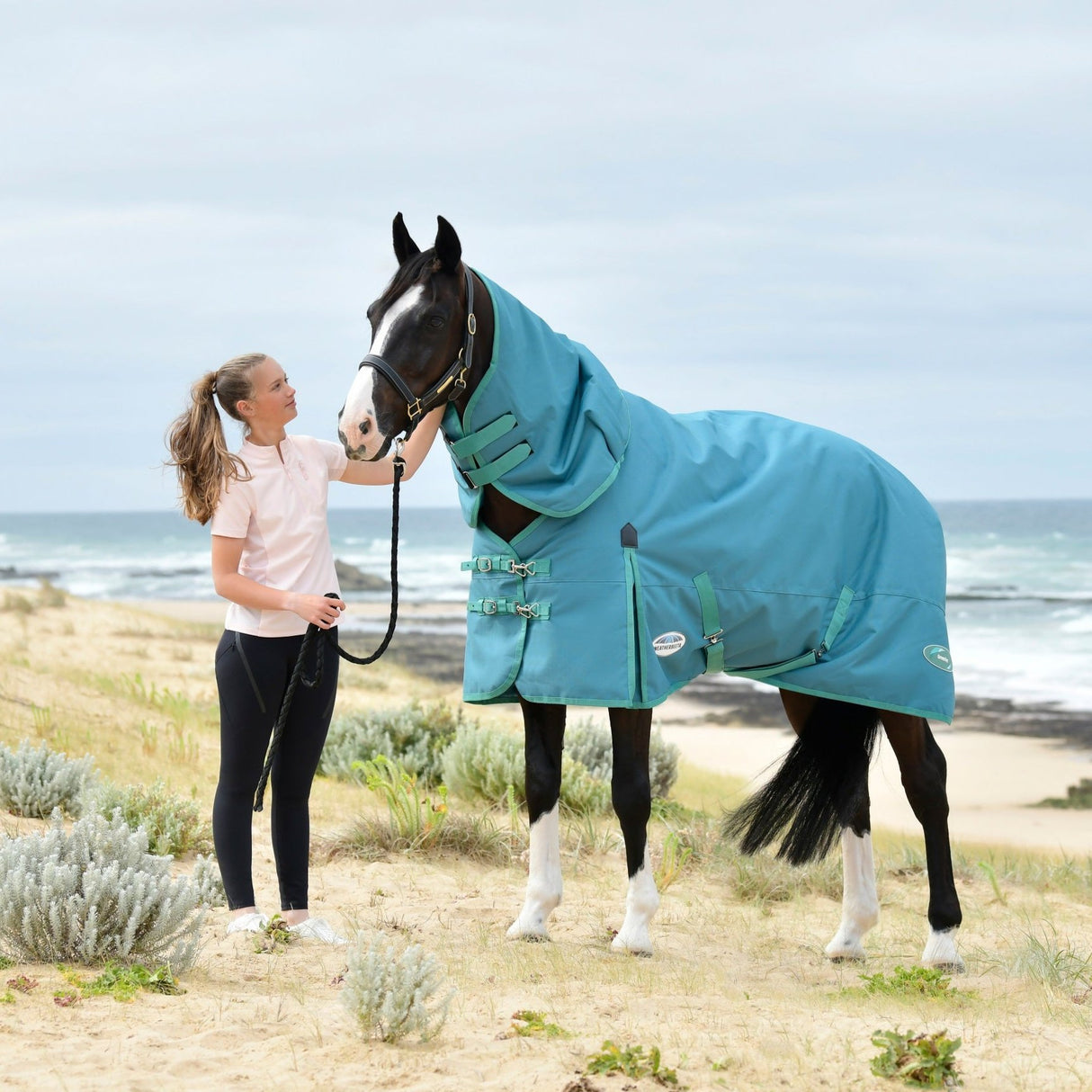 Weatherbeeta Green-Tec 1200D Detach-A-Neck Lite Plus Turnout Rug #colour_dragonfly-blue-bottle-green